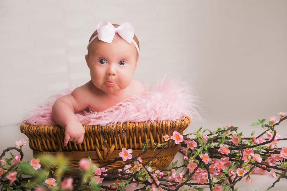 balneario camboriu, camboriu, itajai, itapema, meia praia, tijucas, gaspar, blumenau