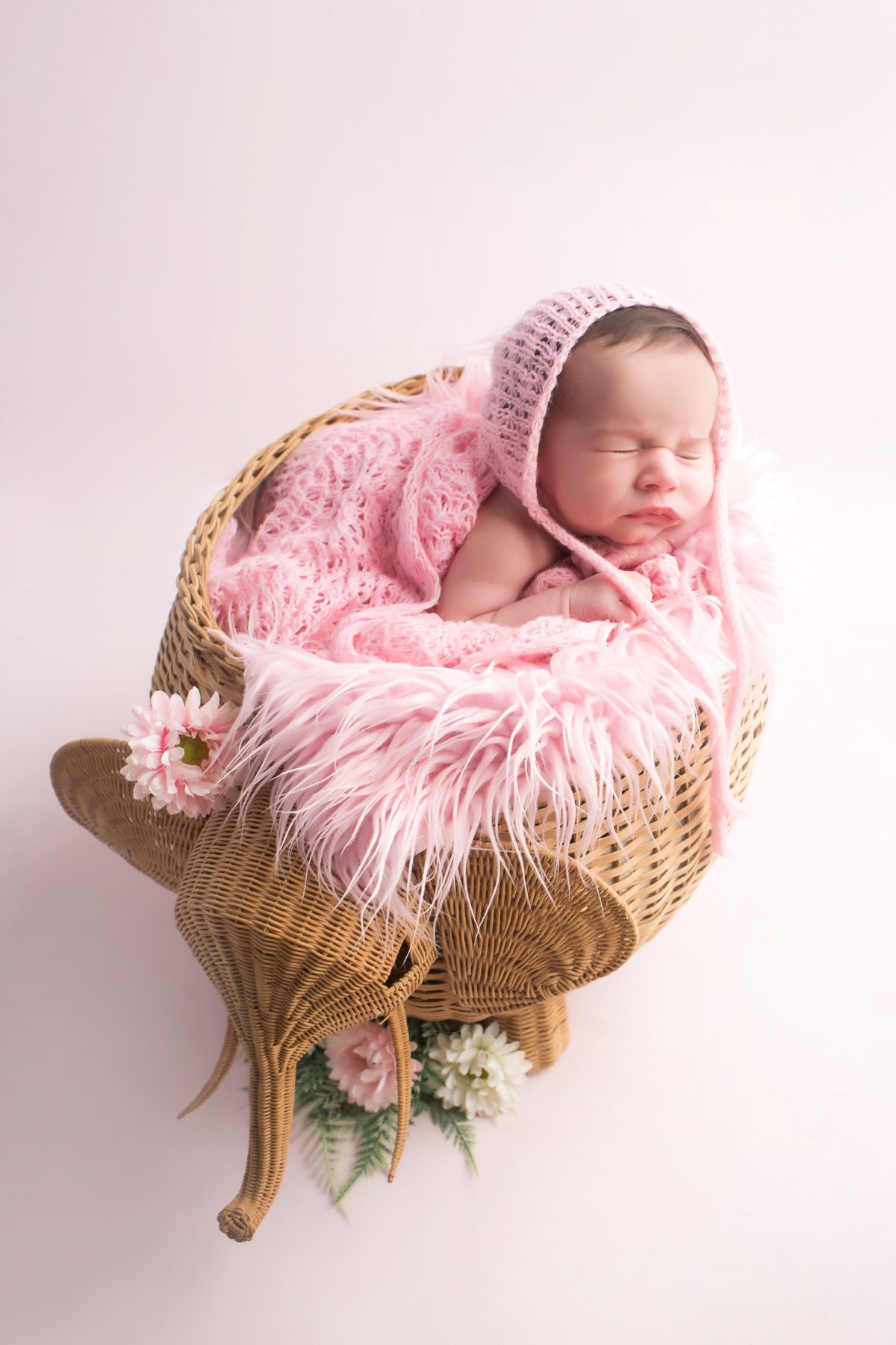 #acompanhamentodebebe #acompanhamento #fotosmensais #bebe #ensaioinfantil #bookinfantil #fotografadebebe #bebe #bebesfofos #smashthecake #ensaiocombolo
estúdio fotografico, fotos, fotografa, fotografia de familia, balneario camboriu, itajai, itapema, tiju