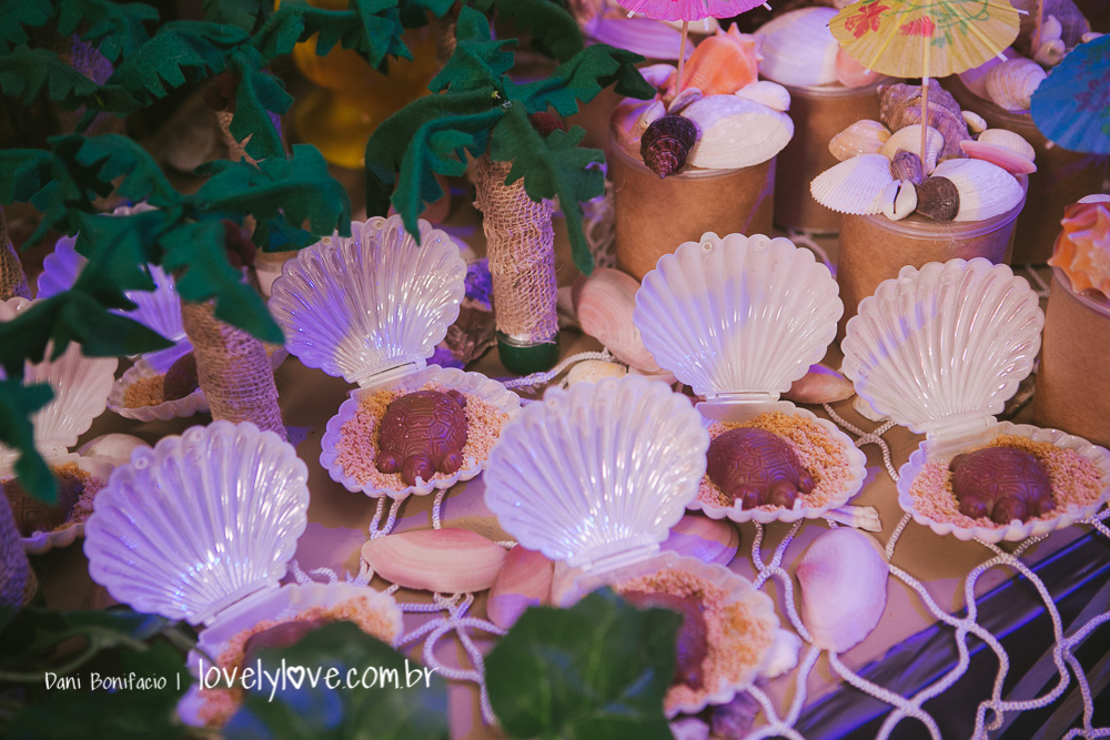 fotografa de aniversario infantil