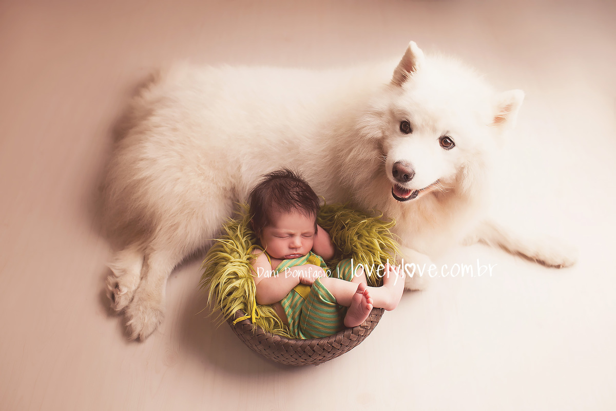 acompanhamento de bebe