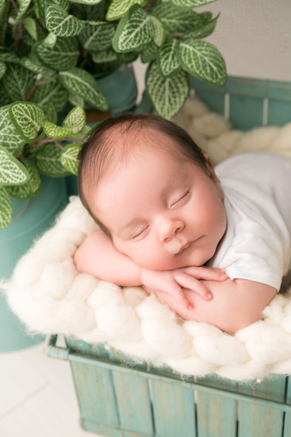 book de bebe, book newborn, book recem nascido