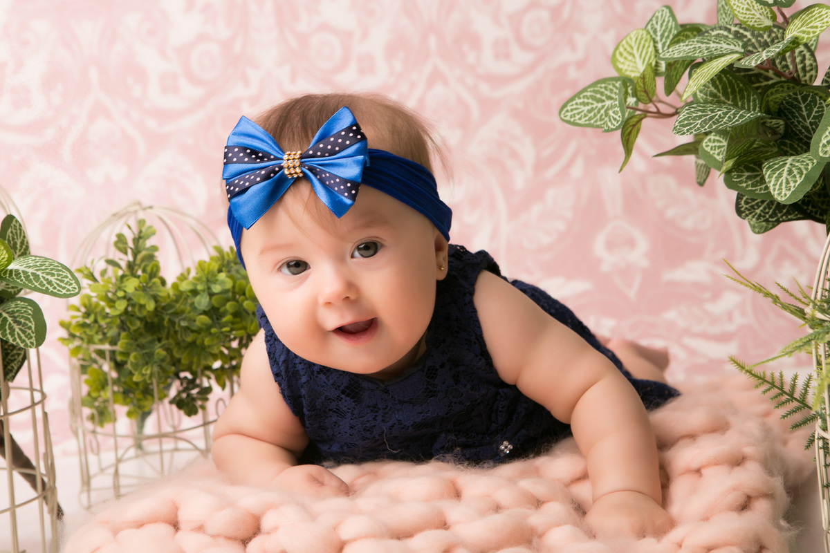 balneario camboriu, itajai, itapema, meia praia, tijucas, navegantes, piçarras, gaspar