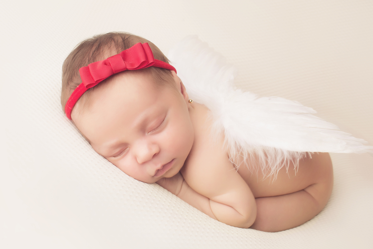 balneario camboriu, itajai, itapema, blumenau, gaspar, navegantes, piçarras, porto belo, bombinhas, florianopolis, sao jose, tijucas