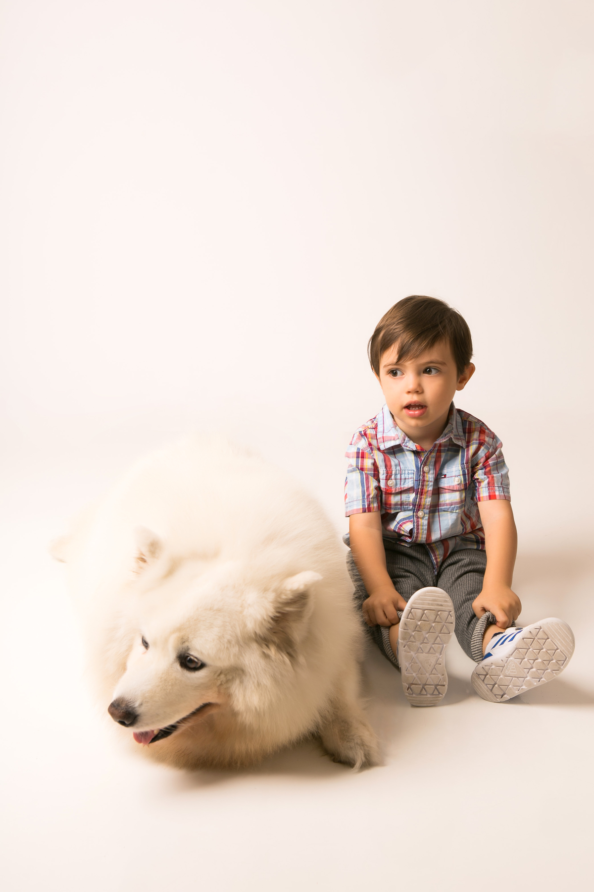 fotos com cachorro e criança