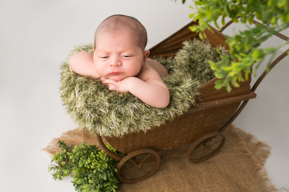 fotografa de familia