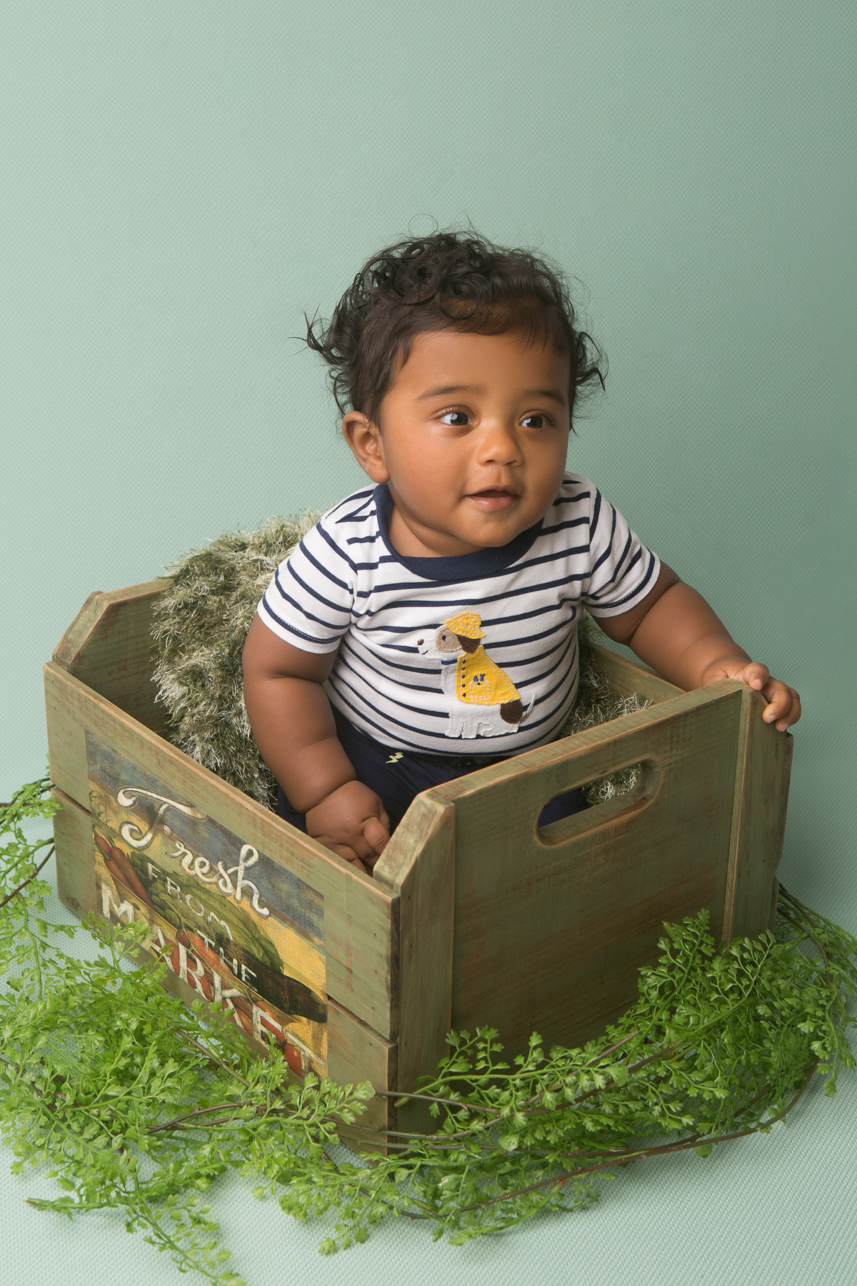 ensaio primeiro ano, book primeiro ano, 