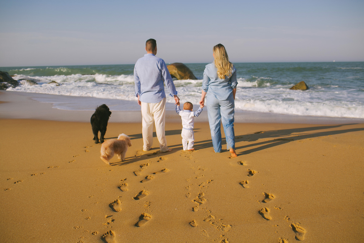 areia, mar, cachorro, familia