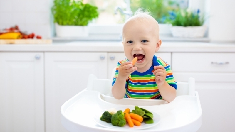 Imagem capa - BLW ou Baby Led Weaning por Rafaela Alves Soares