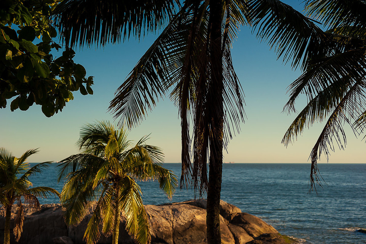 foto Ilha do Porchat - santos - praia de são vicente - fotografia Paulo Araujo, ensaio de família, lifestyle, paisagem na praia com coqueiro e pedras
