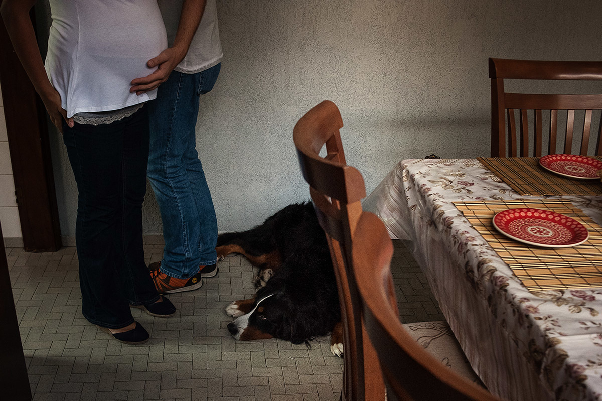passando a mão na barriga da esposa para sentir o bebê enquanto o cachorro observa atentamente, fotografia documental de família.