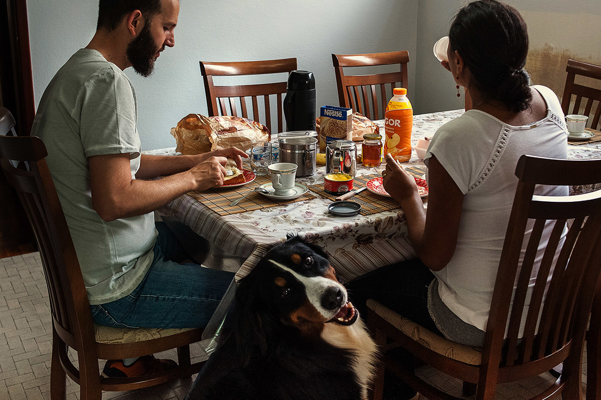 cachorro posando para a foto e família tomando café da manhã em ensaio fotográfico de família e gestante.