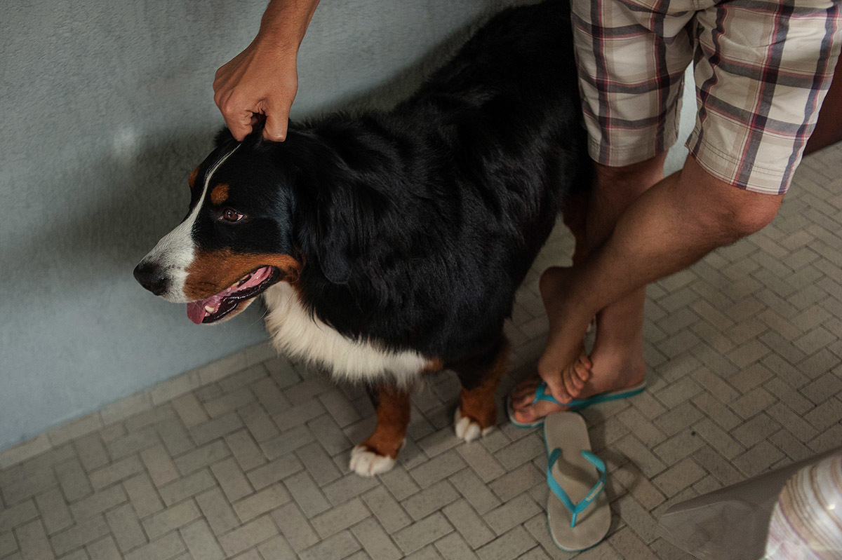 fazendo carinho no cachorro em ensaio documental de família.
fotografia paulo araujo
