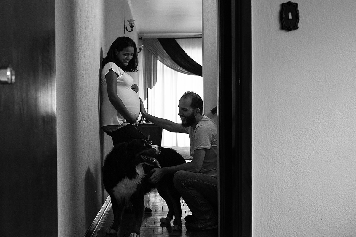 Ensaio fotográfico de gestante, enquanto isso o cachorro da família participa das fotos.
cachorro posando para a foto.
fotografo de família