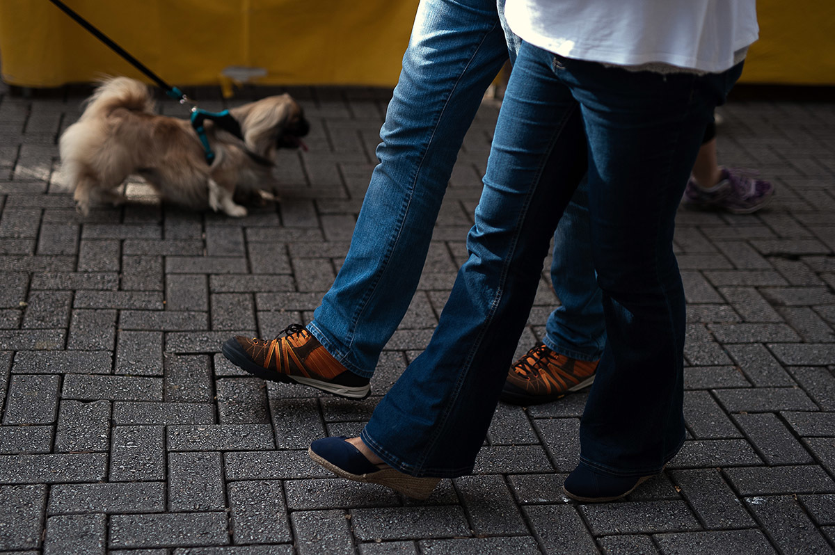 Caminhando nas ruas do Bairro Ipiranga, cachorrinho passeando, fotografia de família.