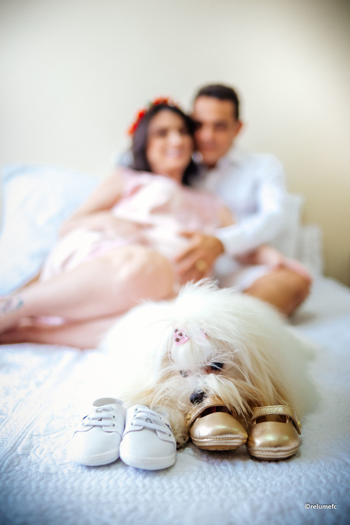 ensaio de gestante belem