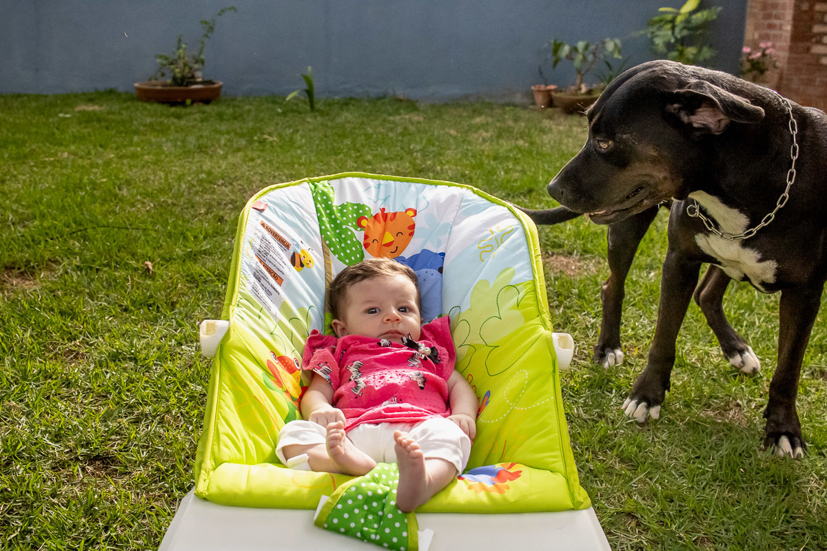 natural newborn, newborn, abraço na alma, alan smyth fotografo são mateus es, ensaio nerborn, ensaio em casa, ensaio intimista, ensaio pet, fotografia afetiva, onde fotografar em sao mateus, recem nascido, fotografo guriri, fotografo afetivo,
