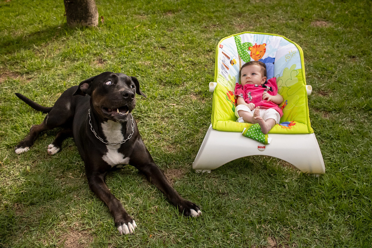 natural newborn, newborn, abraço na alma, alan smyth fotografo são mateus es, ensaio nerborn, ensaio em casa, ensaio intimista, ensaio pet, fotografia afetiva, onde fotografar em sao mateus, recem nascido, fotografo guriri, fotografo afetivo,
