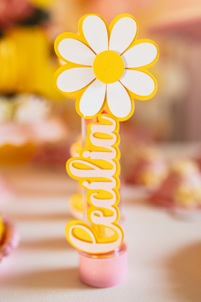 fotografia de festa infantil sao mateus, ensaio de familia es, casa de festas,  decoracao de festa infantil, decoracao de festas, alan smyth, fotografia afetiva es, fotos festa, hora do parabens, fotografia de festa infantil guriri, fotografo infantil