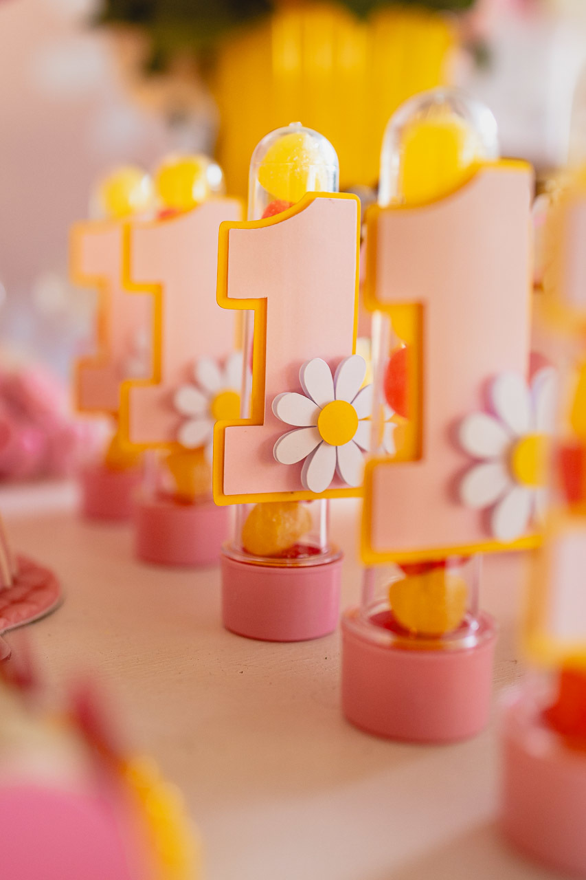 fotografia de festa infantil sao mateus, ensaio de familia es, casa de festas,  decoracao de festa infantil, decoracao de festas, alan smyth, fotografia afetiva es, fotos festa, hora do parabens, fotografia de festa infantil guriri, fotografo infantil