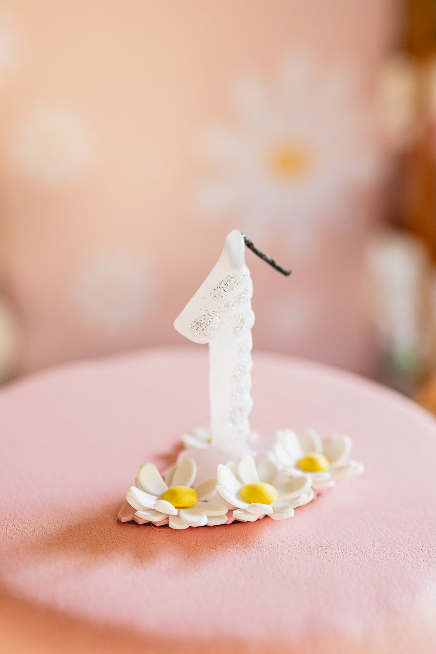 fotografia de festa infantil sao mateus, ensaio de familia es, casa de festas,  decoracao de festa infantil, decoracao de festas, alan smyth, fotografia afetiva es, fotos festa, hora do parabens, fotografia de festa infantil guriri, fotografo infantil