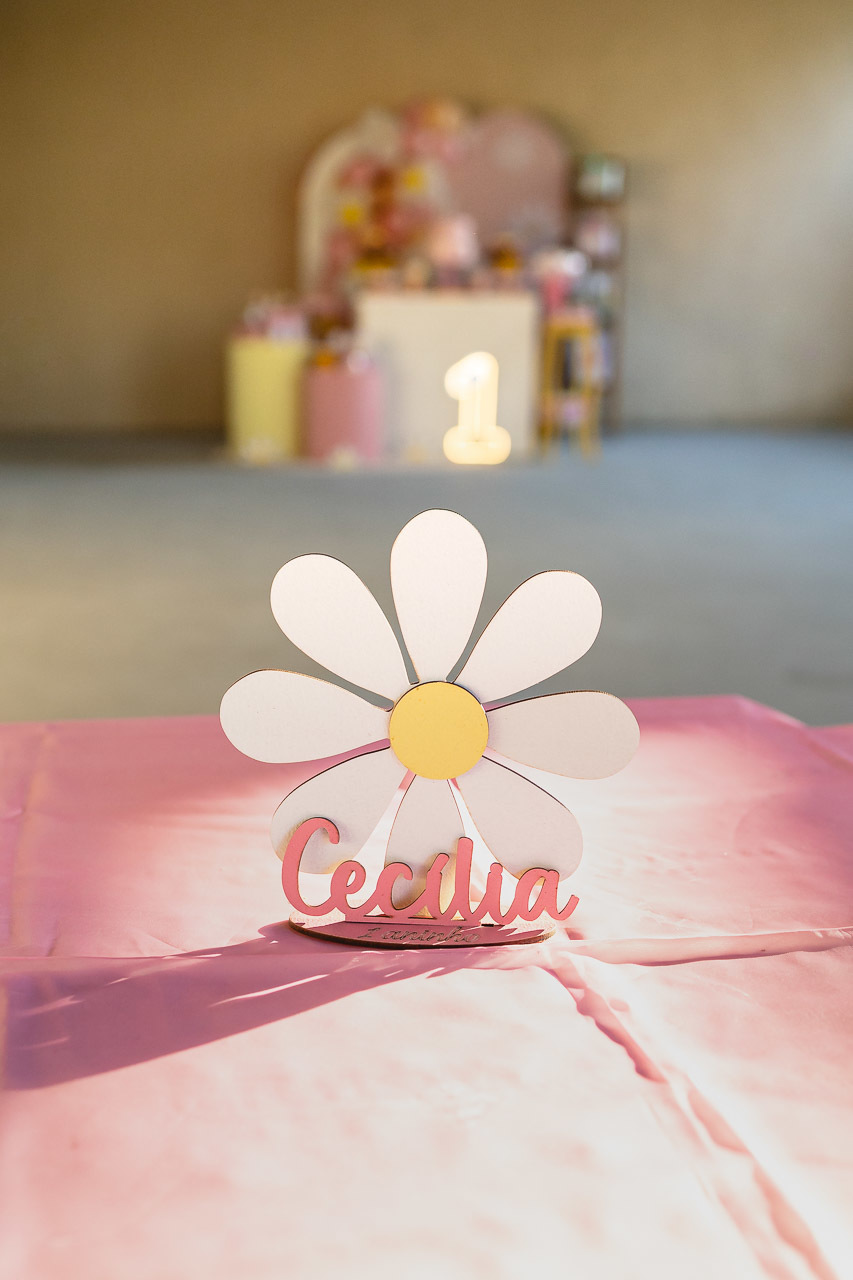 fotografia de festa infantil sao mateus, ensaio de familia es, casa de festas,  decoracao de festa infantil, decoracao de festas, alan smyth, fotografia afetiva es, fotos festa, hora do parabens, fotografia de festa infantil guriri, fotografo infantil