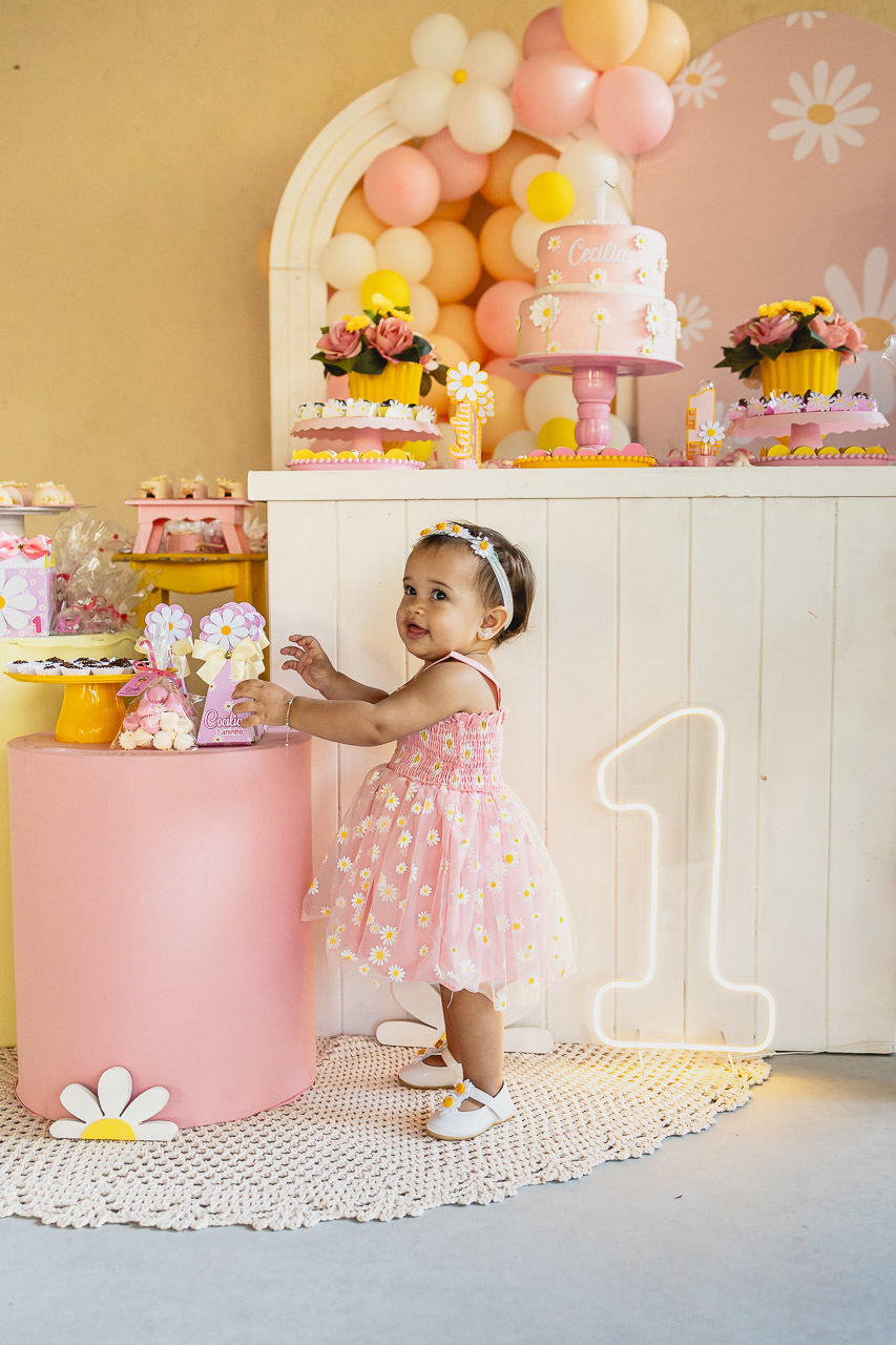 fotografia de festa infantil sao mateus, ensaio de familia es, casa de festas,  decoracao de festa infantil, decoracao de festas, alan smyth, fotografia afetiva es, fotos festa, hora do parabens, fotografia de festa infantil guriri, fotografo infantil