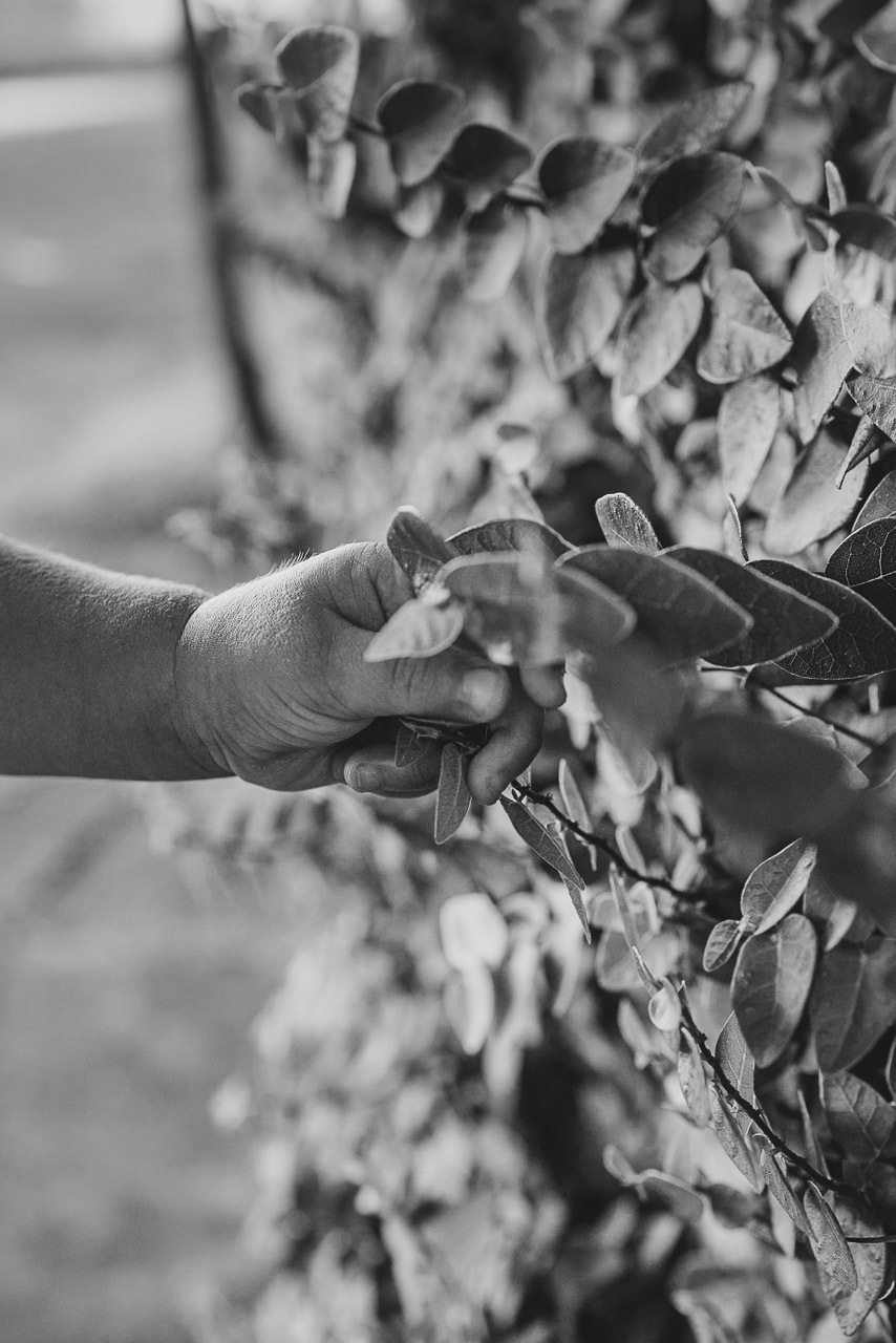 acompanhamento de bebê, abraço na alma, alan smyth fotografo são mateus es, ensaio de bebê, ensaio em casa, ensaio intimista, fotografia afetiva, fotografia de familia,  fotografia de familia sao mateus es,  gêmeas, gêmeas meninas, pais de menina, bebê