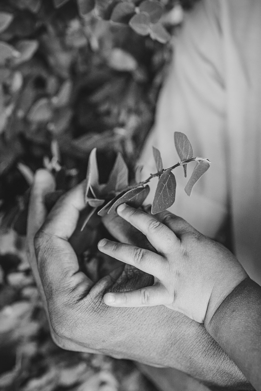 acompanhamento de bebê, abraço na alma, alan smyth fotografo são mateus es, ensaio de bebê, ensaio em casa, ensaio intimista, fotografia afetiva, fotografia de familia,  fotografia de familia sao mateus es,  gêmeas, gêmeas meninas, pais de menina, bebê