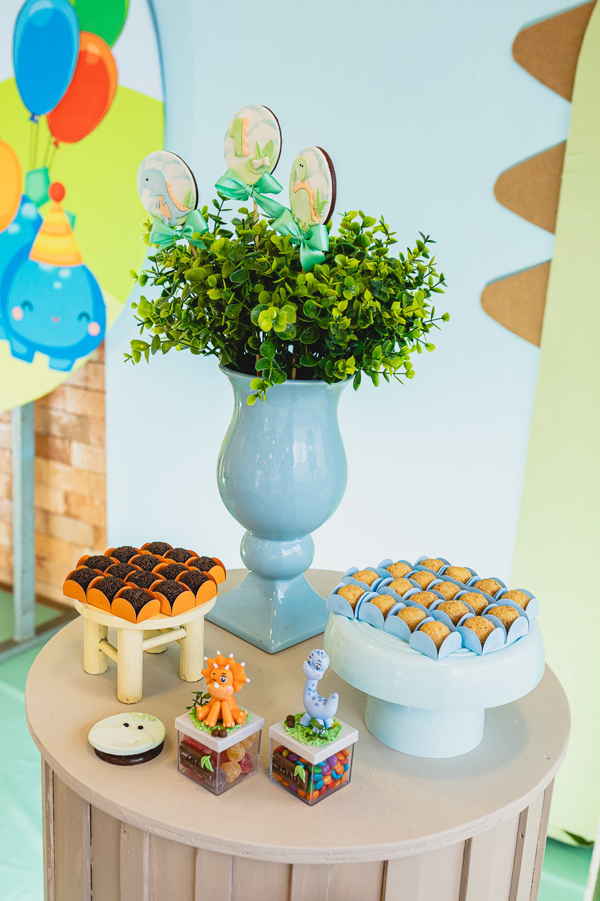 fotografia de festa infantil sao mateus, ensaio de familia,  decoracao de festa infantil, decoracao de festas, alan smyth, fotografia afetiva es, fotos festa, hora do parabens, fotografia de festa infantil guriri, fotografo infantil, fotografo são mateus