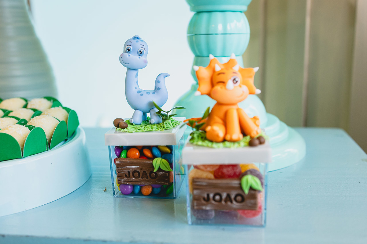 fotografia de festa infantil sao mateus, ensaio de familia,  decoracao de festa infantil, decoracao de festas, alan smyth, fotografia afetiva es, fotos festa, hora do parabens, fotografia de festa infantil guriri, fotografo infantil, fotografo são mateus