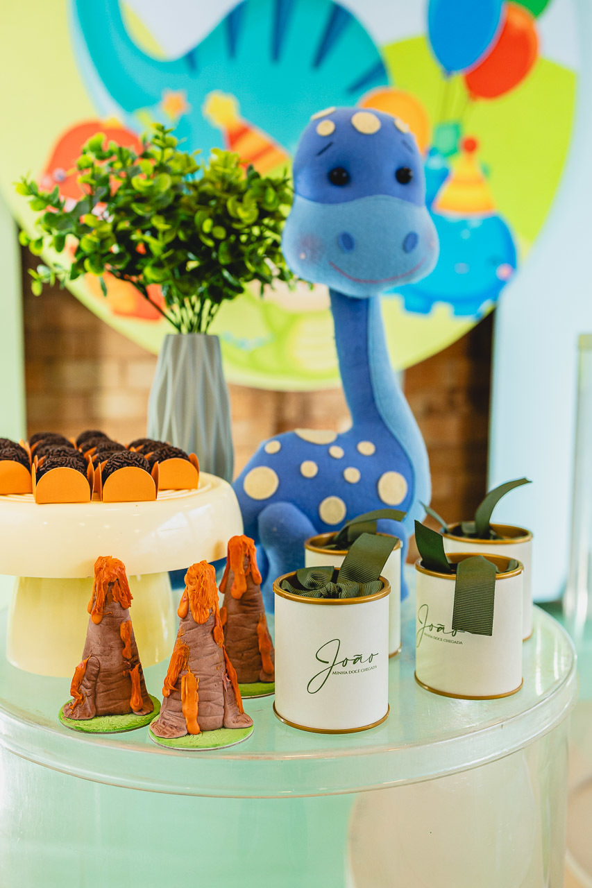 fotografia de festa infantil sao mateus, ensaio de familia,  decoracao de festa infantil, decoracao de festas, alan smyth, fotografia afetiva es, fotos festa, hora do parabens, fotografia de festa infantil guriri, fotografo infantil, fotografo são mateus