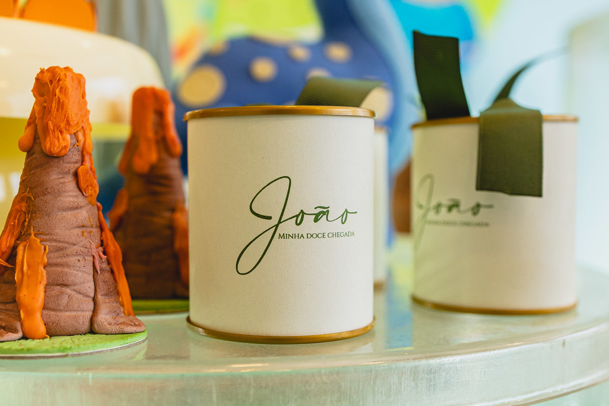 fotografia de festa infantil sao mateus, ensaio de familia,  decoracao de festa infantil, decoracao de festas, alan smyth, fotografia afetiva es, fotos festa, hora do parabens, fotografia de festa infantil guriri, fotografo infantil, fotografo são mateus