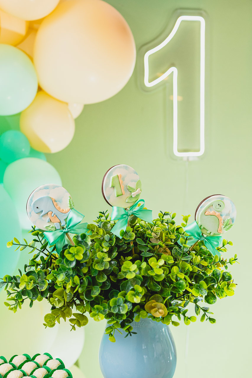 fotografia de festa infantil sao mateus, ensaio de familia,  decoracao de festa infantil, decoracao de festas, alan smyth, fotografia afetiva es, fotos festa, hora do parabens, fotografia de festa infantil guriri, fotografo infantil, fotografo são mateus