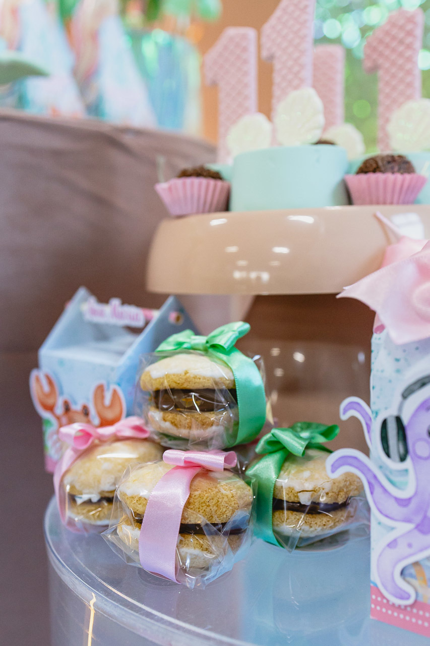 fotografia de festa infantil sao mateus, ensaio de familia,  decoracao de festa infantil, decoracao de festas, alan smyth, fotografia afetiva es, fotos festa, hora do parabens, fotografia de festa infantil guriri, fotografo infantil, fotografo são mateus