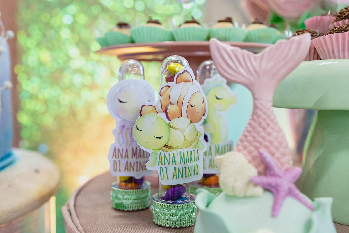 fotografia de festa infantil sao mateus, ensaio de familia,  decoracao de festa infantil, decoracao de festas, alan smyth, fotografia afetiva es, fotos festa, hora do parabens, fotografia de festa infantil guriri, fotografo infantil, fotografo são mateus