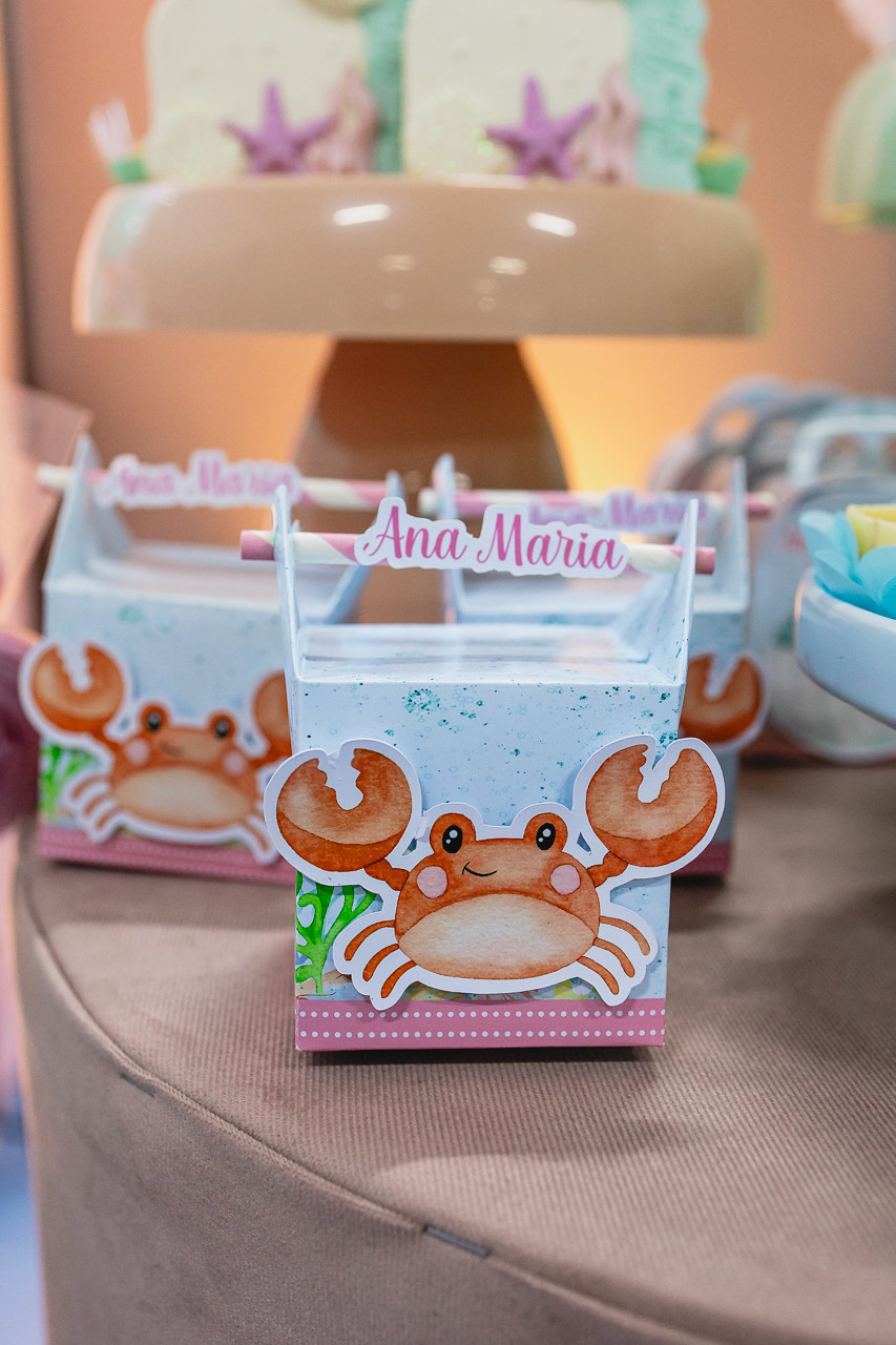 fotografia de festa infantil sao mateus, ensaio de familia,  decoracao de festa infantil, decoracao de festas, alan smyth, fotografia afetiva es, fotos festa, hora do parabens, fotografia de festa infantil guriri, fotografo infantil, fotografo são mateus