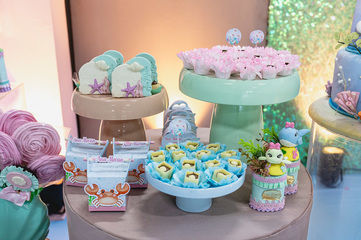 fotografia de festa infantil sao mateus, ensaio de familia,  decoracao de festa infantil, decoracao de festas, alan smyth, fotografia afetiva es, fotos festa, hora do parabens, fotografia de festa infantil guriri, fotografo infantil, fotografo são mateus