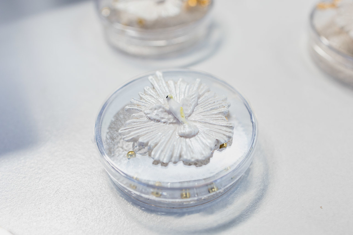 fotografia de batizado são mateus, ensaio de familia es, igreja para batizado são mateus, alan smyth fotografia afetiva, fotografia de batizado guriri, fotografia de batizado catedral de são mateus, fotografo batizado são mateus, fotografo batizado guriri