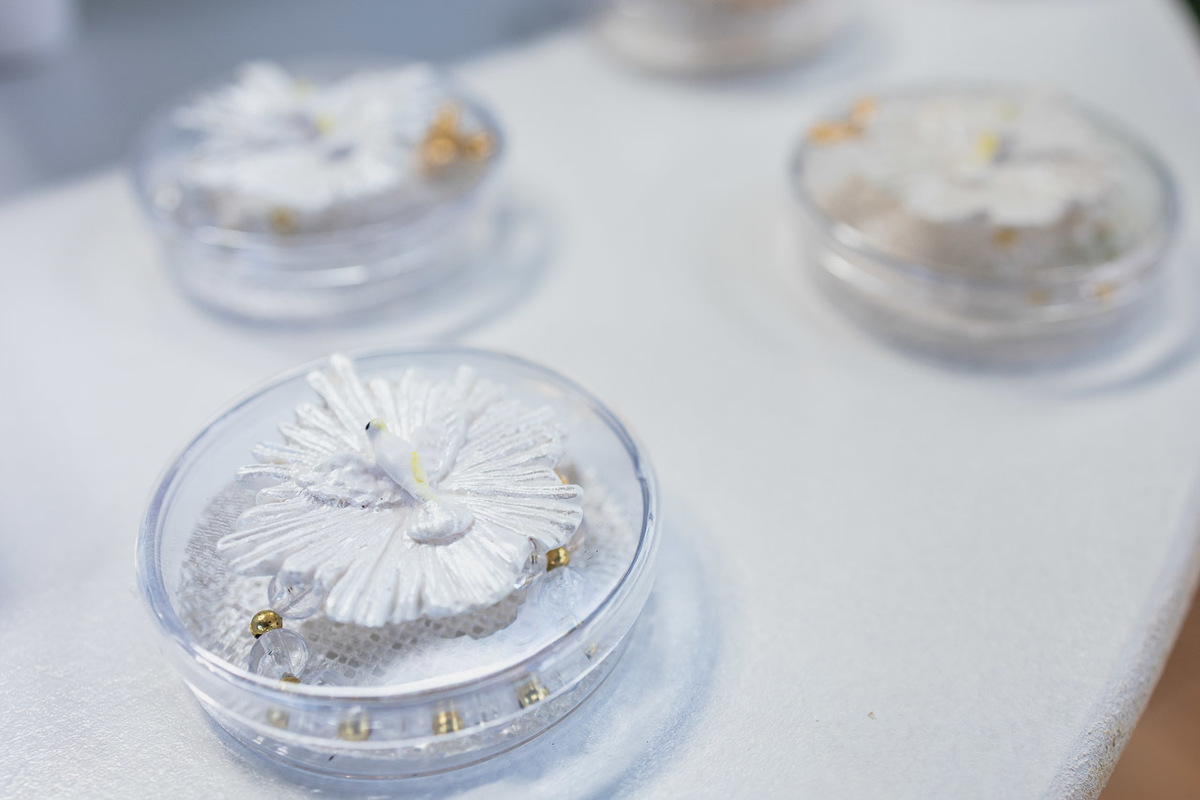 fotografia de batizado são mateus, ensaio de familia es, igreja para batizado são mateus, alan smyth fotografia afetiva, fotografia de batizado guriri, fotografia de batizado catedral de são mateus, fotografo batizado são mateus, fotografo batizado guriri