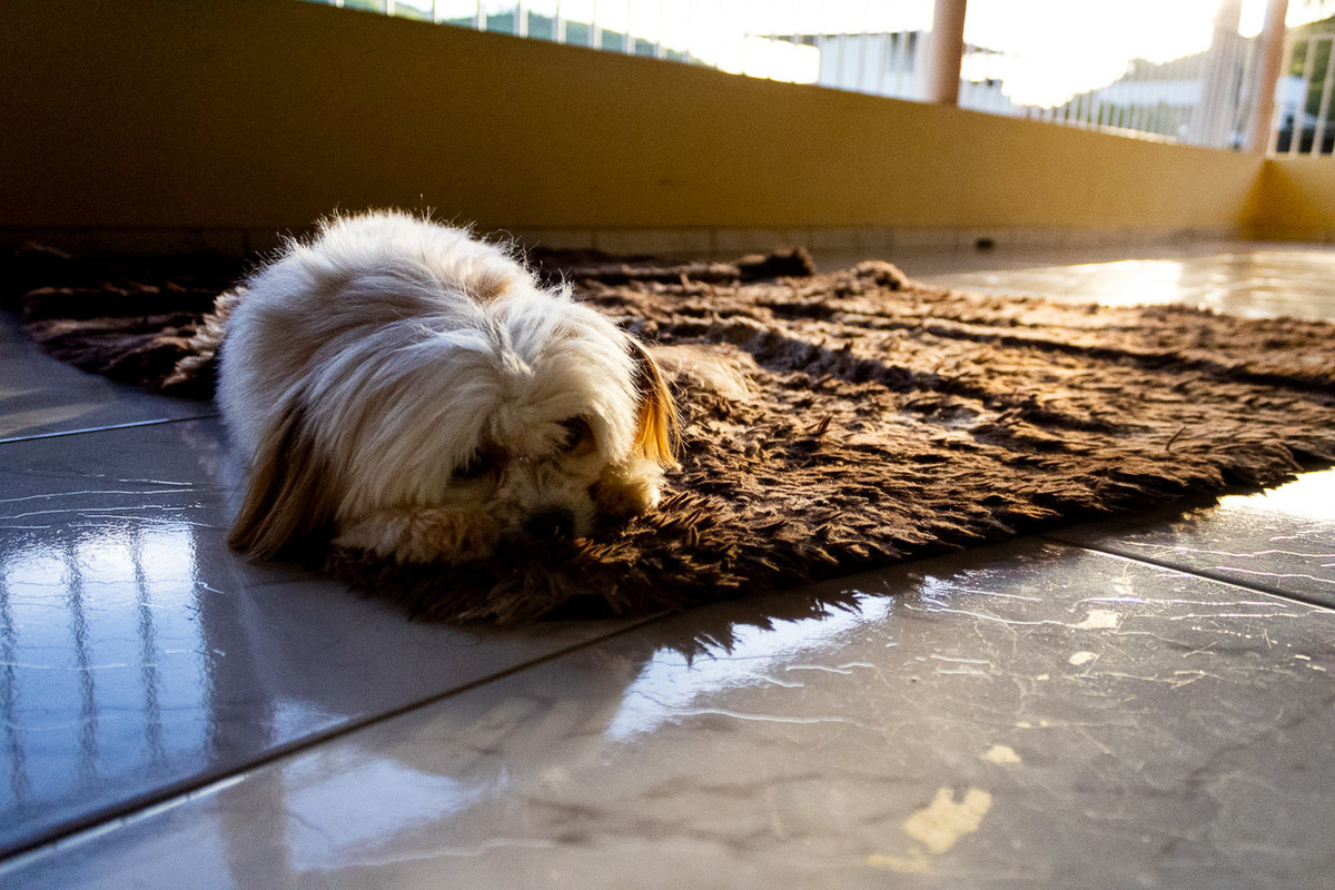abraço na alma, alan smyth, ensaio da familia, ensaio de familia mantena, ensaio em casa, familia santuario da vida, fotografia afetiva, fotografo afetivo, fotografo em mantena mg, fotografo mg, onde fotografar em mantena, retrato de familia