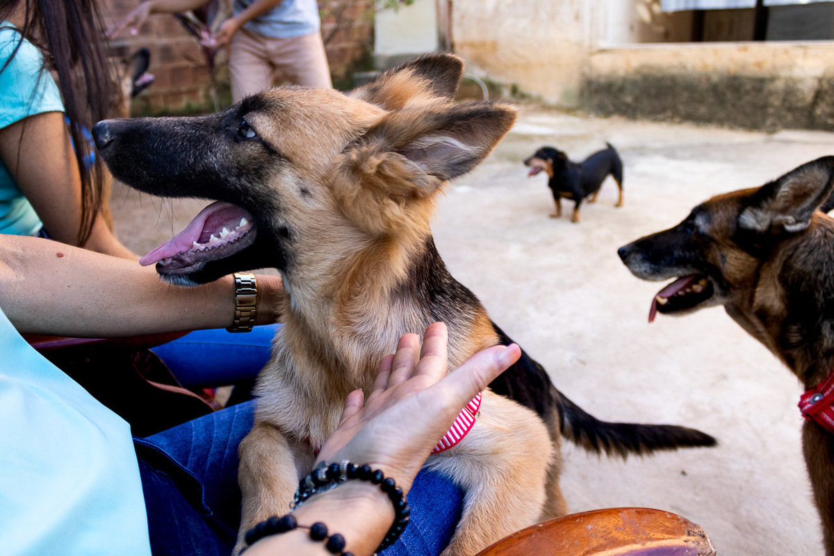 abraço na alma, alan smyth, ensaio da familia, ensaio de familia mantena, familia, familia santuario da vida, fotografia afetiva, fotografo afetivo, fotografo em mantena mg, fotografo mg, mae de menina, onde fotografar em mantena, retrato de familia