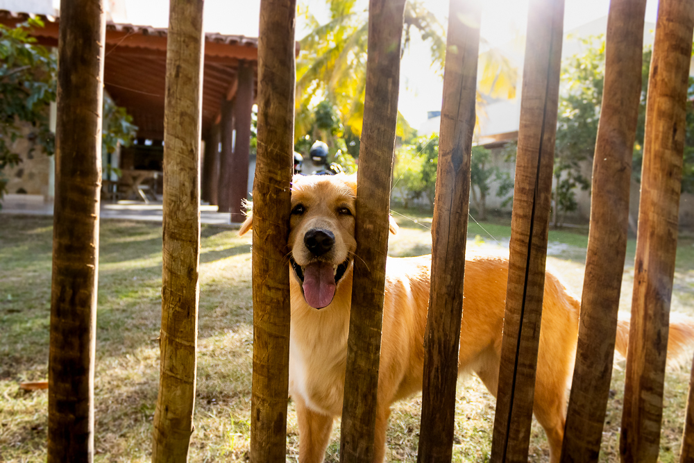 abraço na alma, alan smyth, alan smyth fotografo em sao mateus es, bosque da praia guriri, couple photos, couple session, ensaio afetivo, ensaio intimista, fotografia afetiva, fotografia de casal, fotografia intimista, fotografia na praia de guriri, fotog