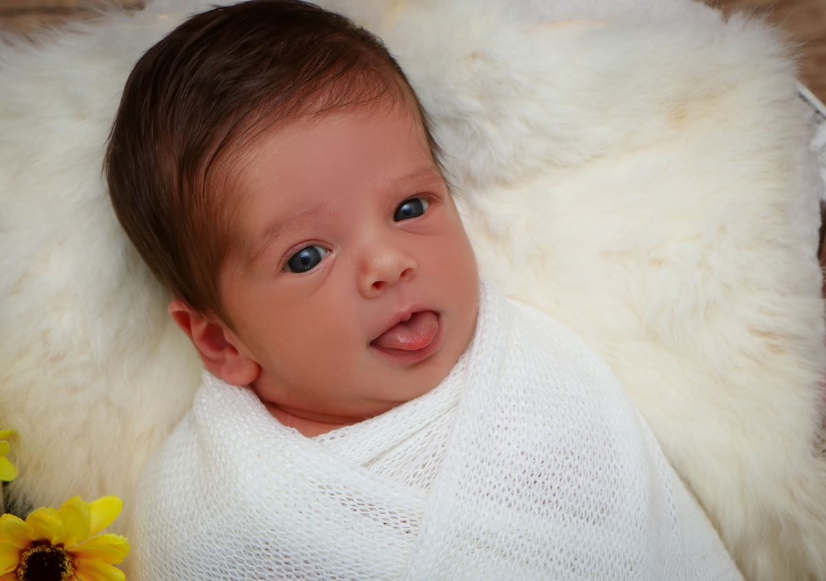 Pricila Ribeiro - Navegantes - Sessão newborn