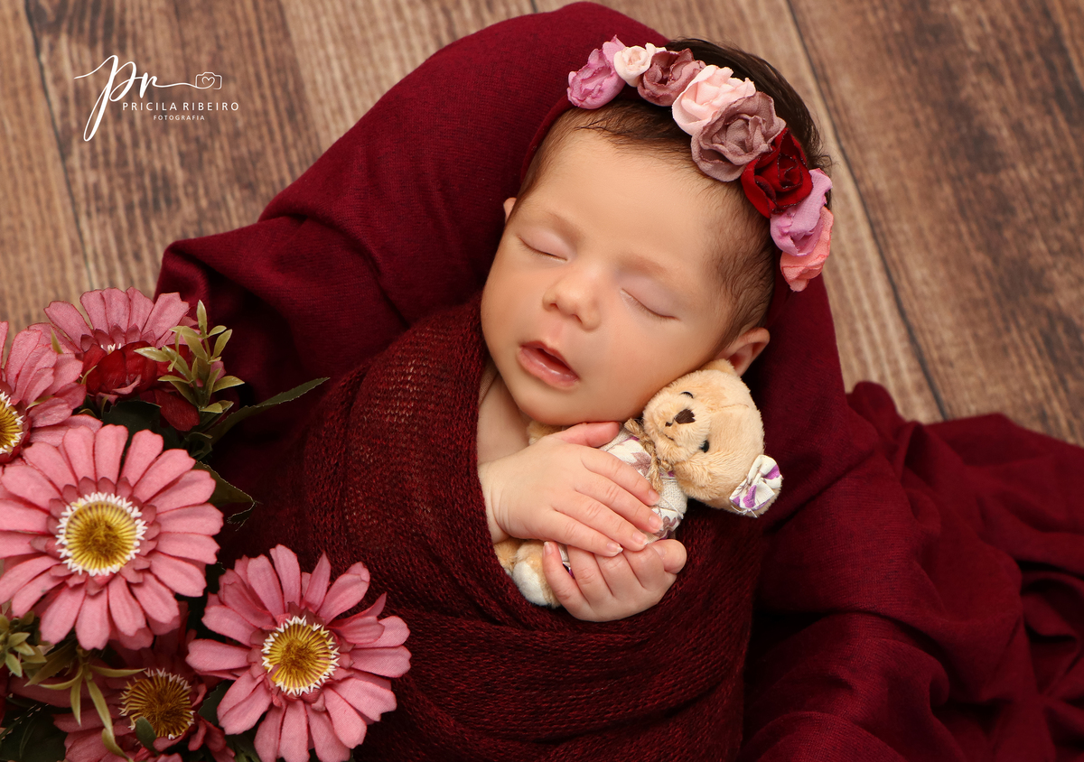 Maria Fernanda - Newborn - Navegantes - Pricila - Ribeiro - Fotografia