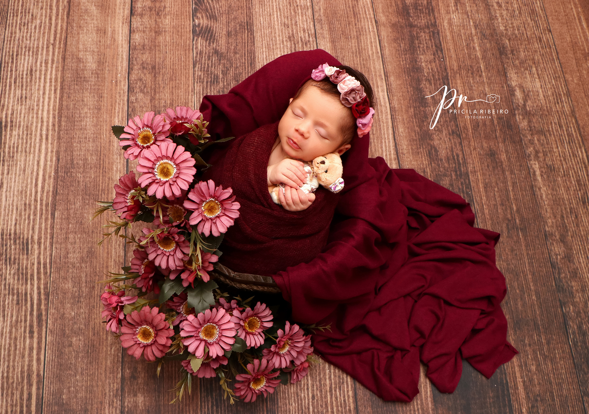 Maria Fernanda - Newborn - Navegantes - Pricila - Ribeiro - Fotografia