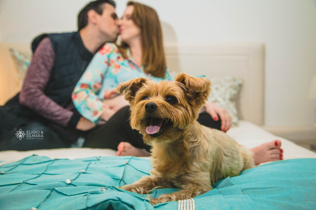 a-espera-do-principe-thomas-ensaio-gestante-quarto-de-bebe-maternidade-gravidez-fotógrafo-jaraguá-do-su