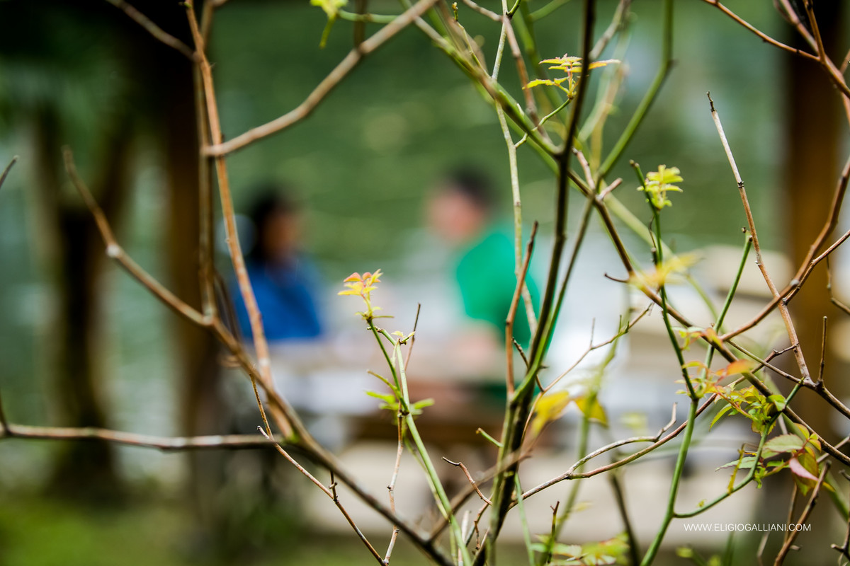 fotografo de casamento em jaragua do sul