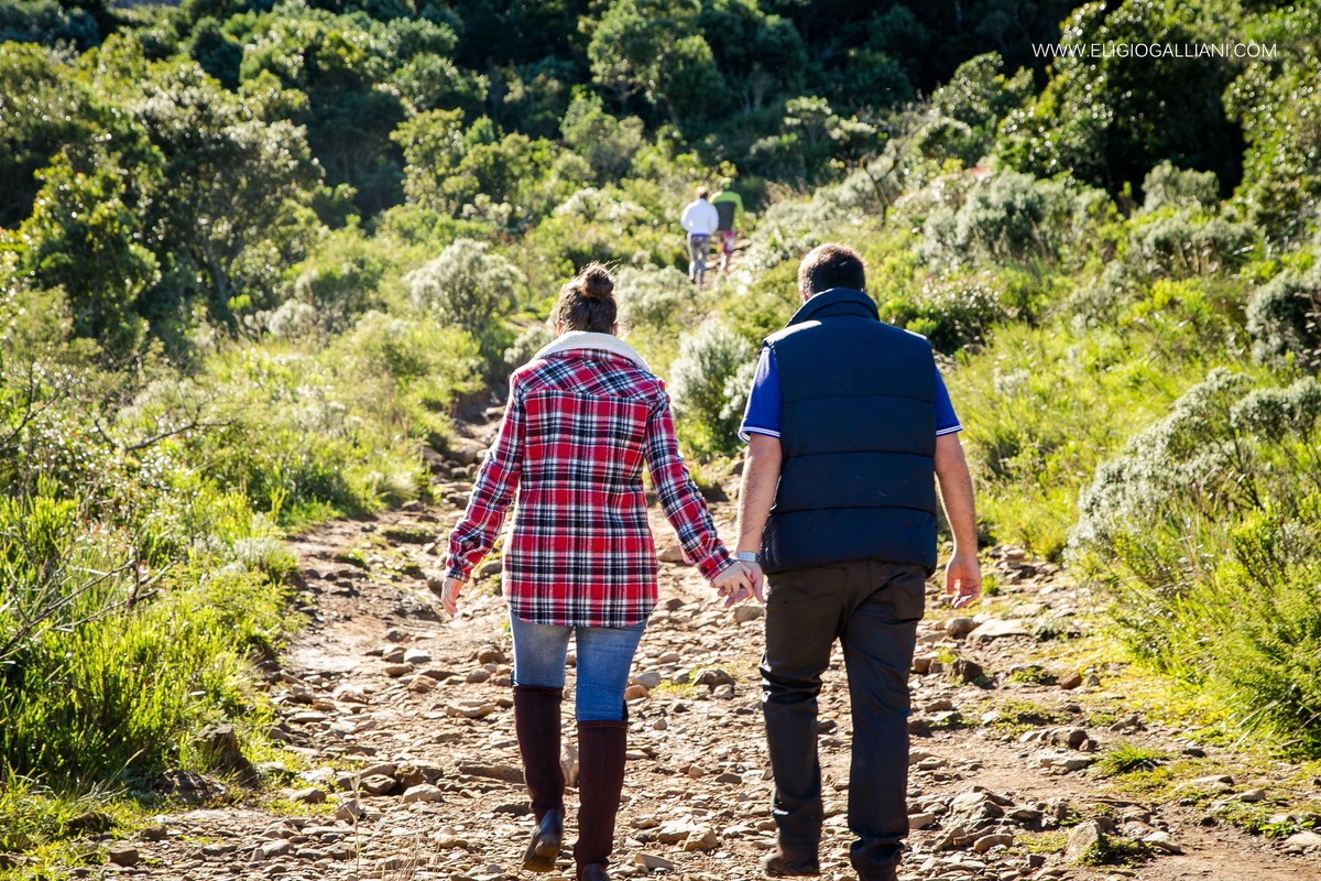 casamento,eventos,balneario camboriu,blumenau,bolo de casamento, bride, corupa,familia,festa,fotografo,jaragua do sul,guaramirim,joinville,fotografia noivos,pomerode,santa catarina, vestido de noiva wedding,schroeder,decoracao,cerimonial,cerimonialista,sa