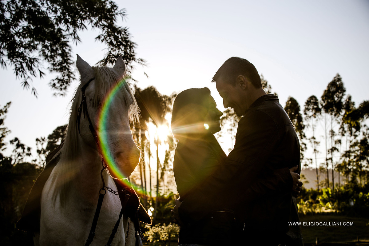 Até o cavalo esta ansioso