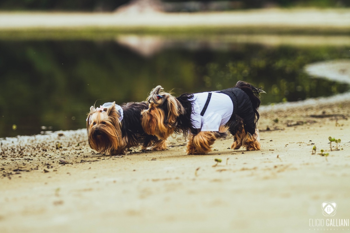 casamentos-noiva-jaragua-do-sul-saobentodosul-blumenau-corupa-schroeder-sao-bento-do-sul-guaramirim-massaranduba-joinville-make-noiva-melhor-fotografo-de-casamento-wedding-photographer-top-cerimonial-decoração